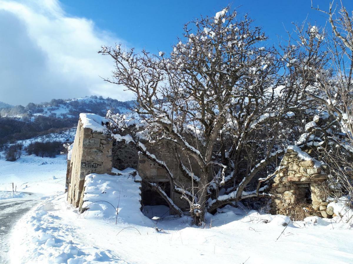 Willa Chalet Mont Canigo Corneilla-de-Conflent Zewnętrze zdjęcie